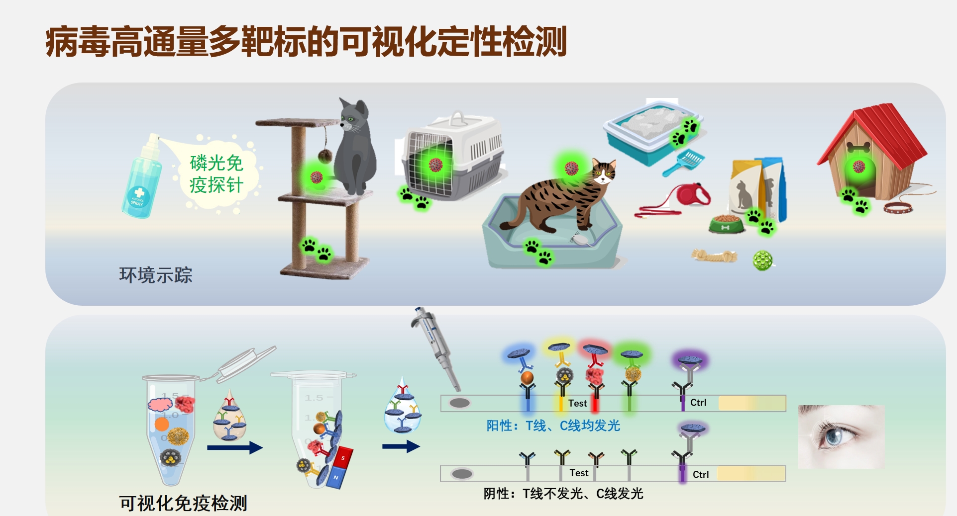 澳门银河